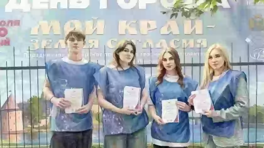 Жителям Псковской области стал доступен сервис «Волонтёры на участке»